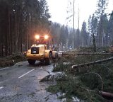 Nach Orkan Friederike - Uslarer Strasse (4)